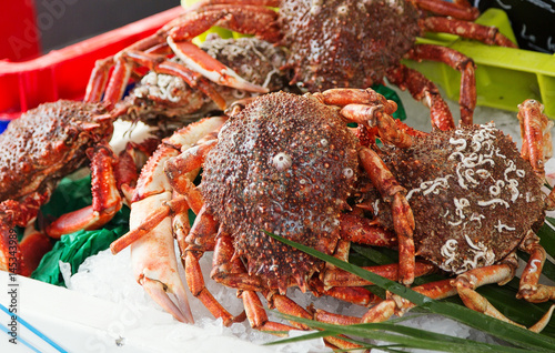 Fotografía Spider crabs for sale at French provincial market