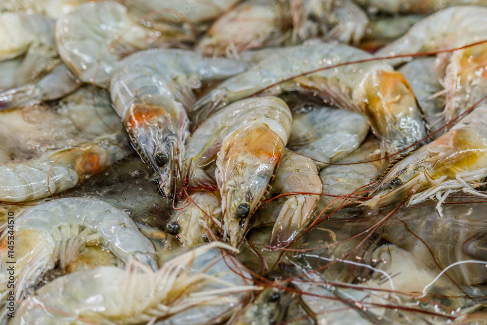 closeup view of a heap of white sea prawns