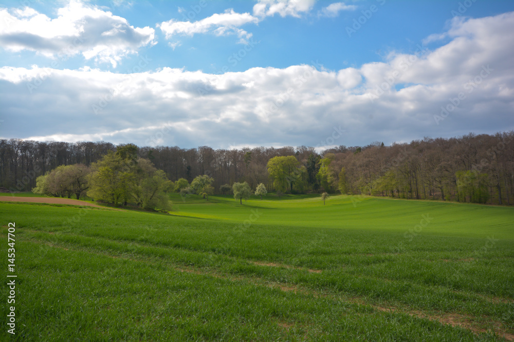 Feld und Wiesen im Frühling