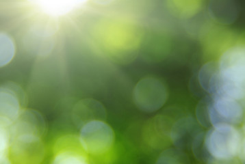 Green blurred background