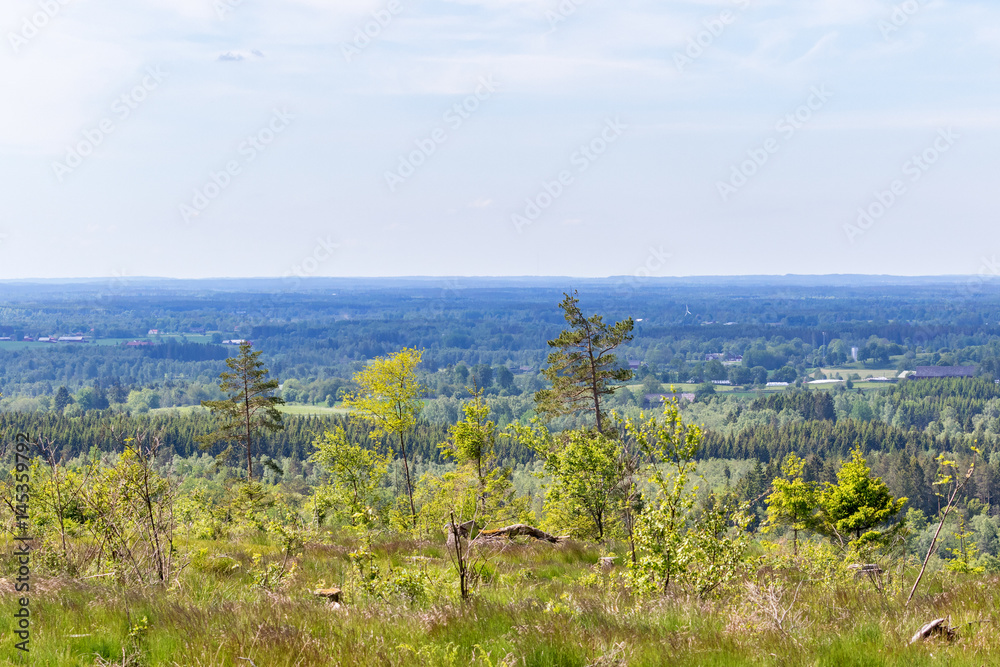 View from a clearcut over woodlands