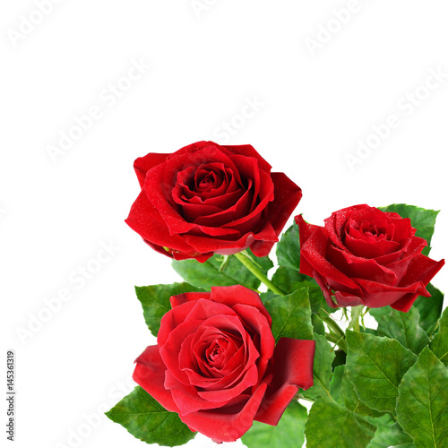 Three red rose flowers in a corner