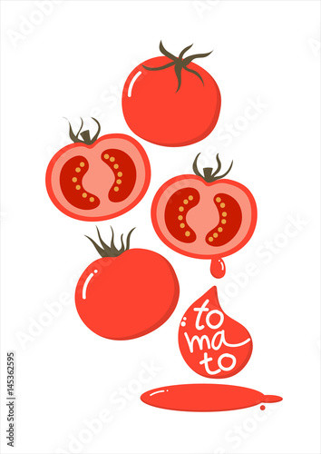tomato vector