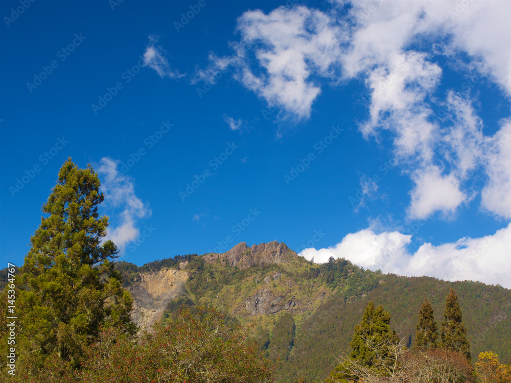 Alishan mountain,Chiayi,Taiwan