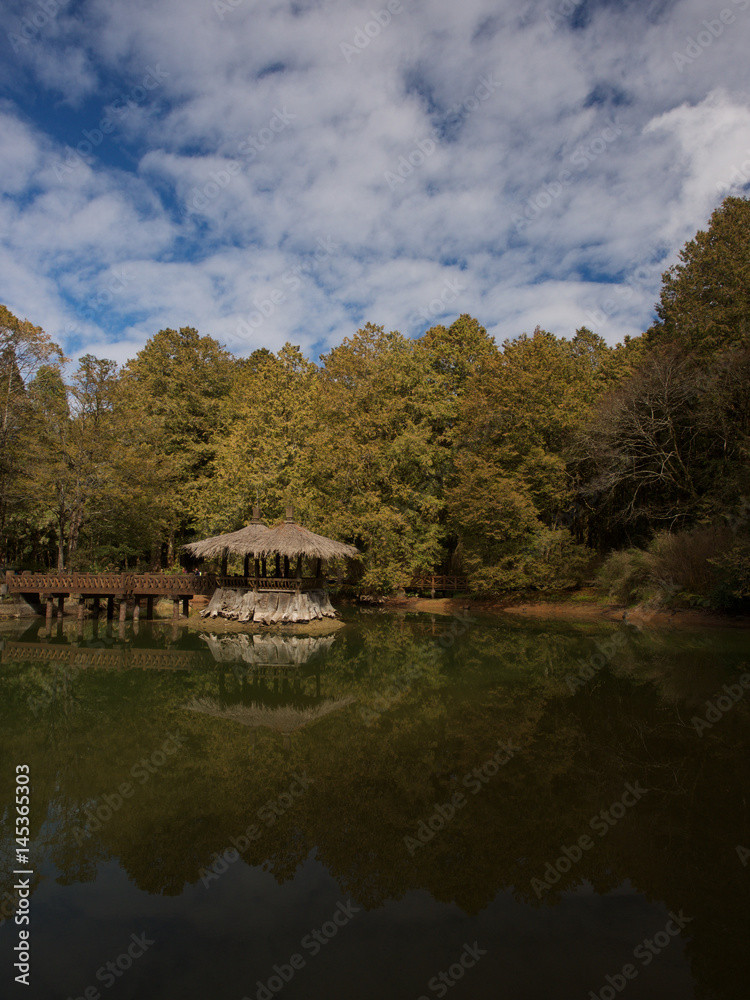 Sister lake in the Alishan National Forest Recreation Area,Chiayi,Taiwan ..