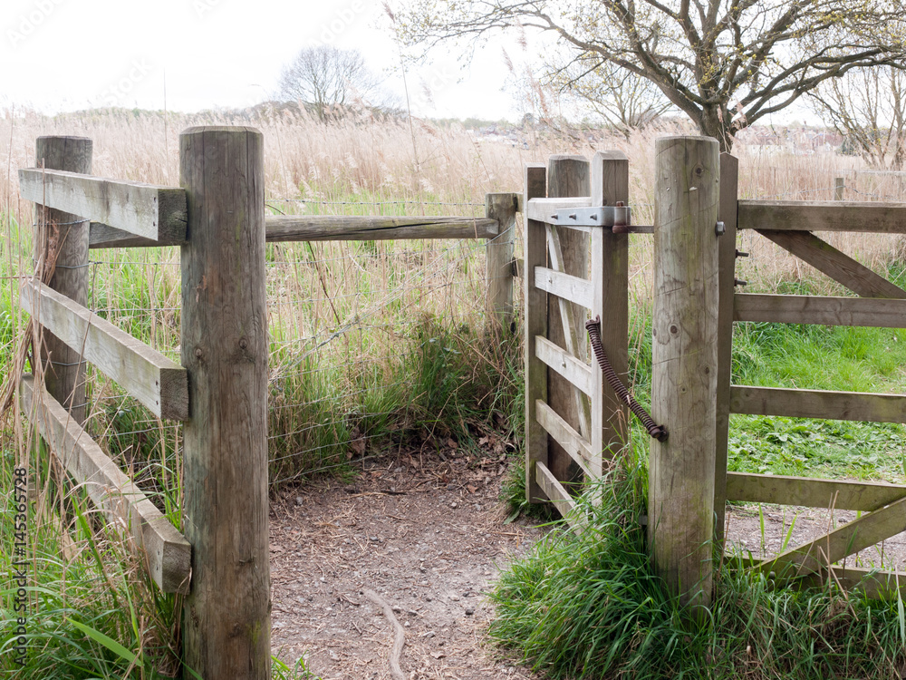 A Closed Gate in the Countryside Leading onto A Reservation, to Help Keep Out Unwanted Creatures, and to Pass Through and Lock with Grass on Ground and Reeds Behind