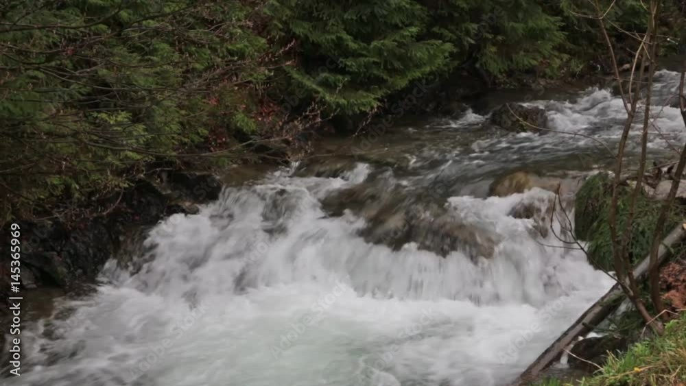 Mountain Stream in the Spring wood. Creek in forest Mountain Stream in the Spring wood. Creek in forest