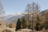 Zermatt, Dorf, Alpen, Furi, Zmutt, zum See, Blatten, Wanderweg, Schweizer Berge, Wallis, Frühling, Frühlingswanderung, Schweiz