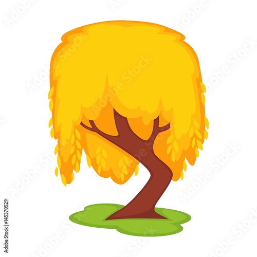 Yellow willow tall tree on green grass land spot isolated