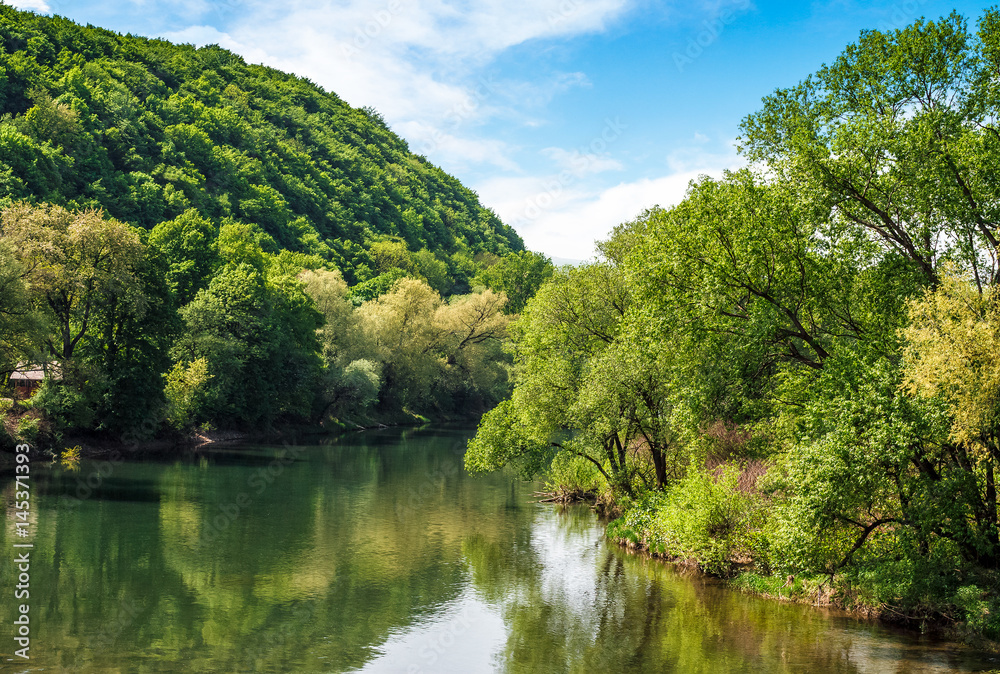 River among the forest in picturesque Carpathian mountains in summer River among the forest in picturesque Carpathian mountains in summer