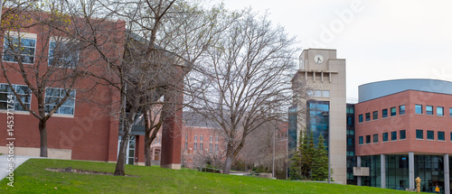 University Library and clock tower in the spring time