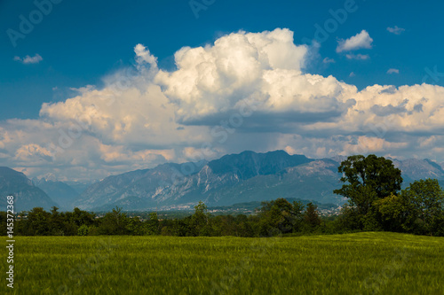 Fields of Italy in a spring day