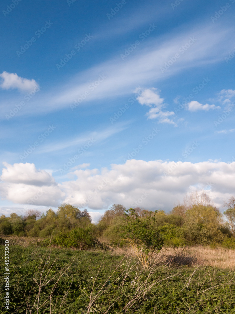 a landscape white clouds and streaks in a blue sky during the day at sunset with foliage trees plants and forest land underneath no people