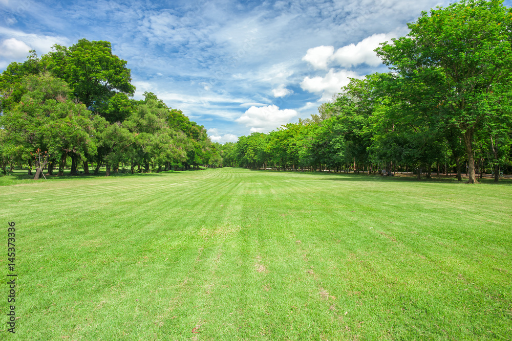 Green grass field in park at city center