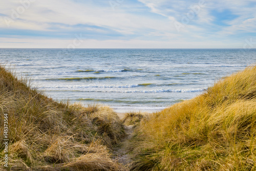 Sea waves 