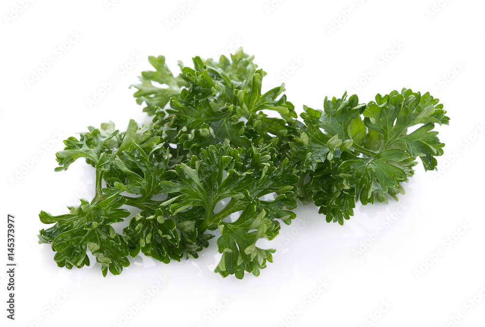 parsley isolated on a white background parsley isolated on a white background