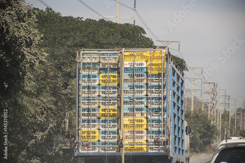 egg pallets on truck. Transportation of agricultural products.