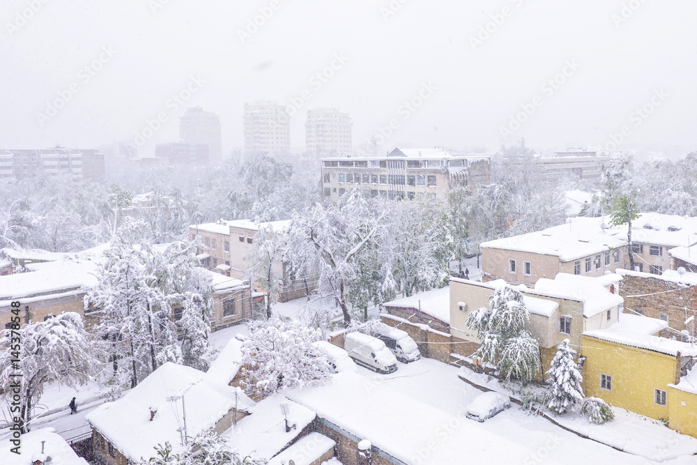 Obraz premium Heavy snow apocalypse in Moldova, frozen Chisinau city, on 20 and 21 of april 2017, spring anomaly, natural cataclysm, falling green trees disaster, general emergency state, exceptional situation
