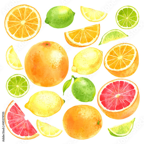 Watercolor vector fruit set with lemon, lime, orange and grapefruit