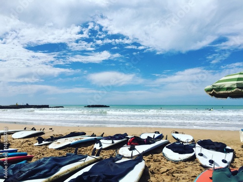 surfing in Morocco