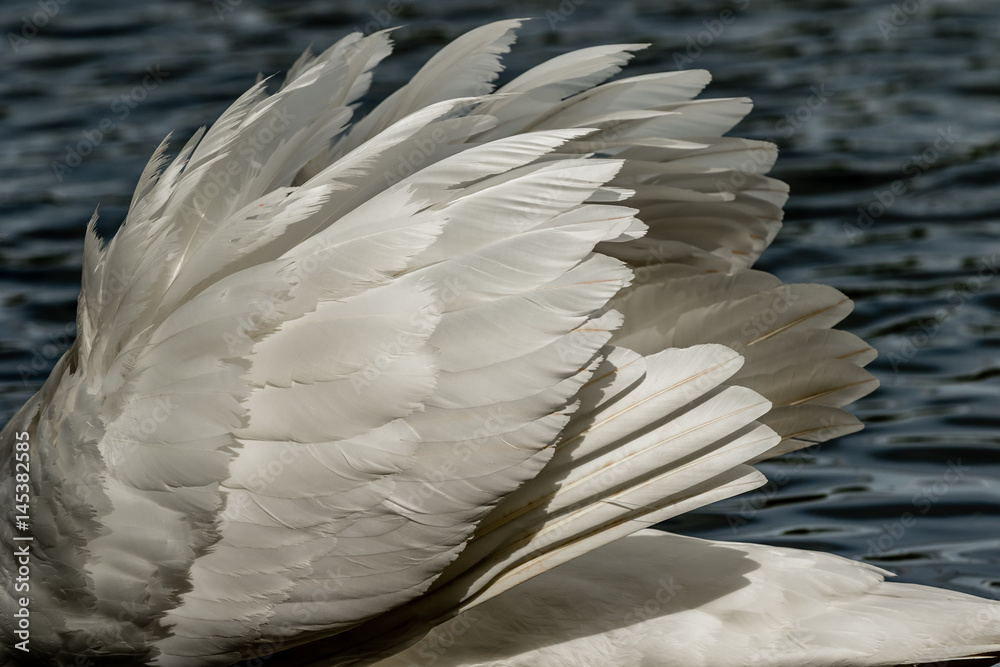 Obraz premium Colne Valley Regional Park.