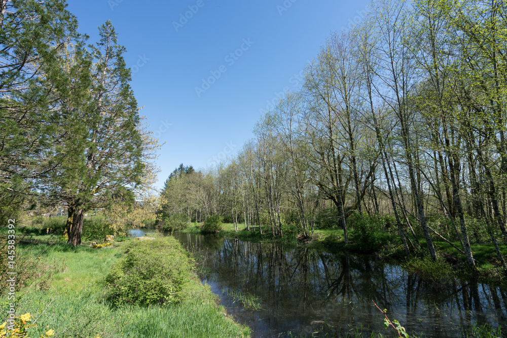 Black Lake Meadows