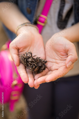 Pine cones in hands of a young girl.