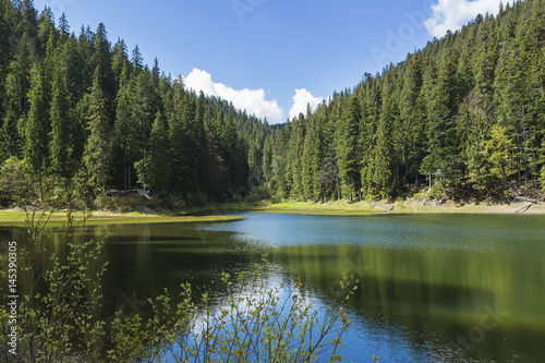 Mountain lake in the Carpathians. Silence of the harmony of nature