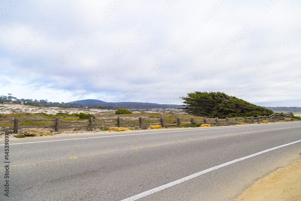 17 mile drive landscape at pacific coast, Monterey, California