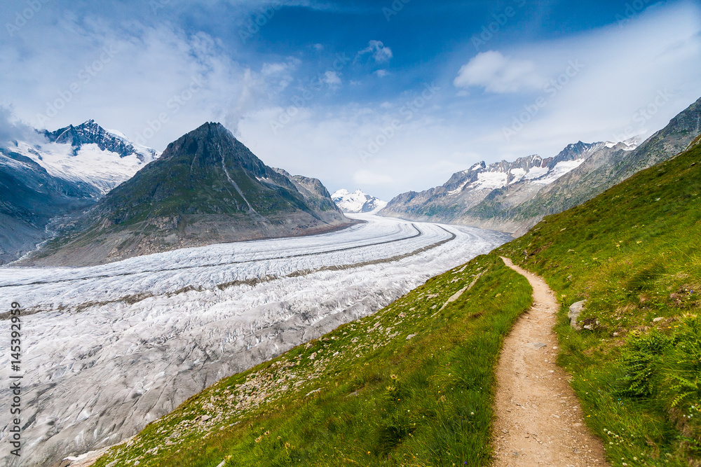 Fototapeta premium Aletsch Glacier in Alps, Switzerland