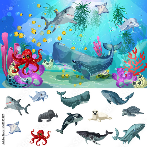 Cartoon Sea And Ocean Fauna Concept