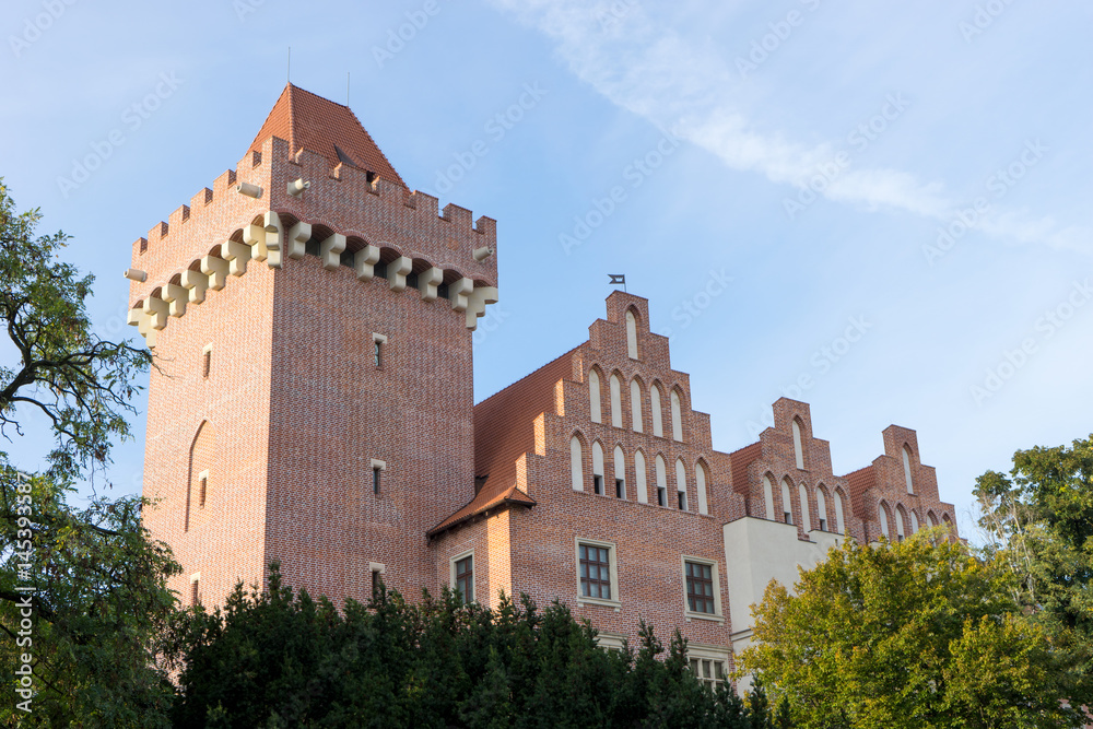 King's castle / King's castle in Poznań in Poland