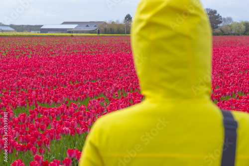 Person in front of flower field in spring time