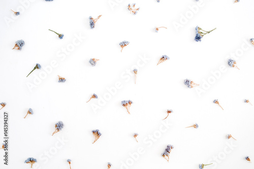 Floral pattern made of blue dried flowers on white background. Flat lay, top view. Floral pattern. © Floral Deco