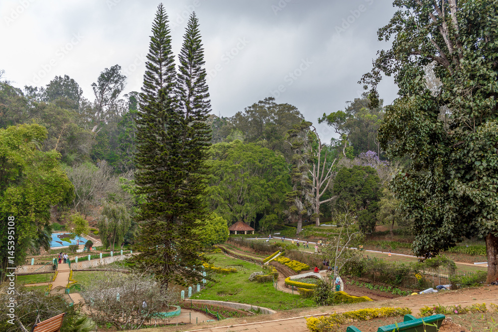 Wide view of green garden with grass, trees, plants, shadows and pathway, Ooty, India, 19 Aug 2016