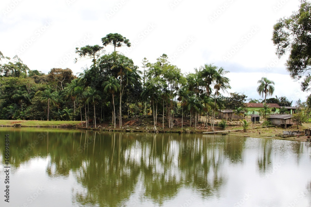 Natureza e tranquilidade Natureza e tranquilidade