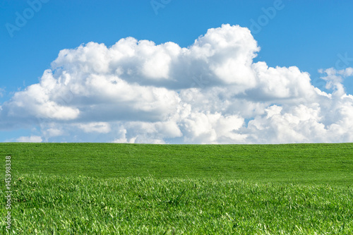 Green grass field with clear blue sky and white clouds
