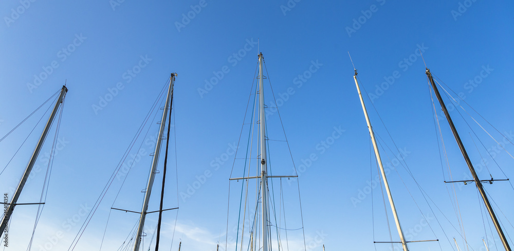 Obraz premium Sailing boat trees under beautiful blue sky