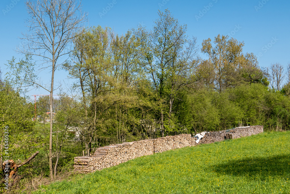 Fototapeta premium Brennholz