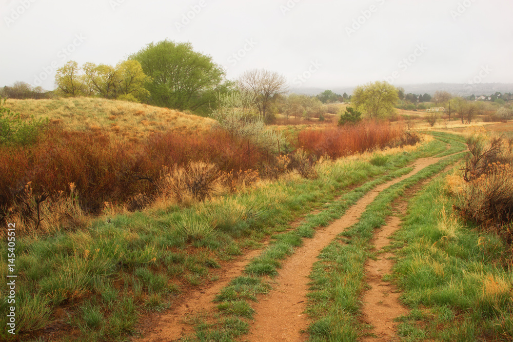Fototapeta premium Country road with fog rolling in