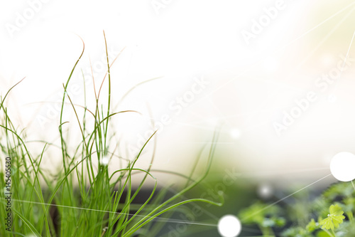 green