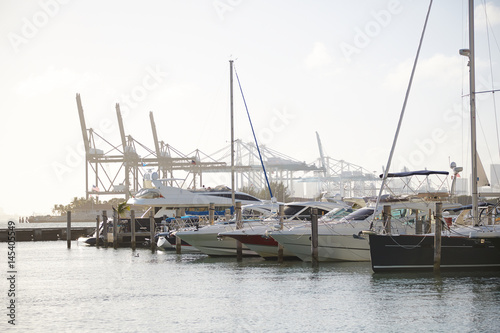 Luxury boats in harbor near Miami shipping docks photo