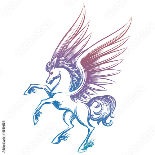 Hand drawn Pegasus vector illustration. Colorful sketched Pegasus isolated on white