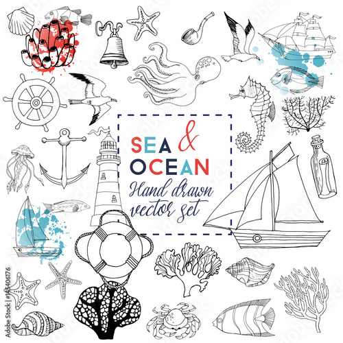 sea life