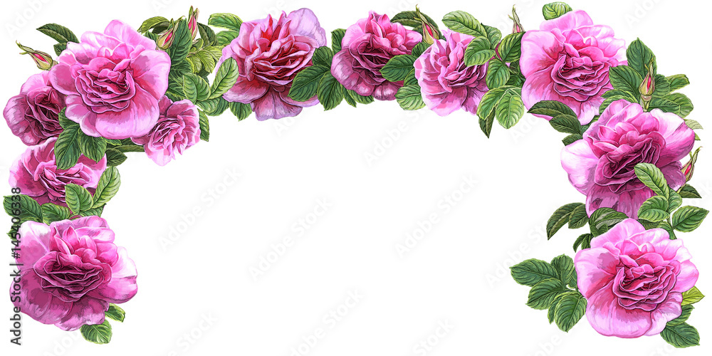 cartoon scene with beautiful and colorful flowers on white background cartoon scene with beautiful and colorful flowers on white background