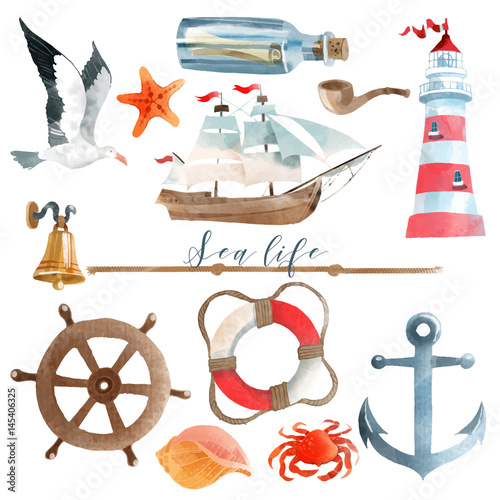 sea life