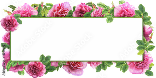 cartoon scene with beautiful and colorful flowers on white background