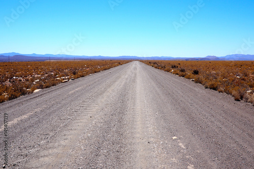 road stretches into the distance in a wilderness