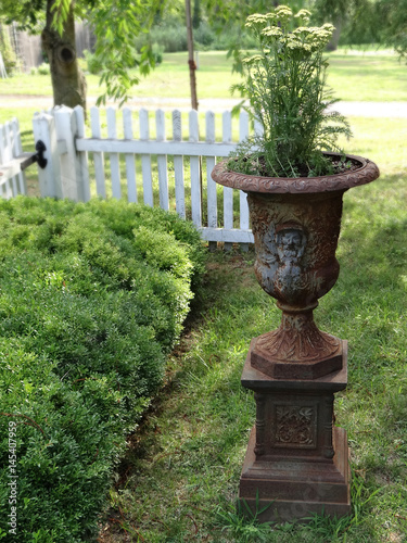 Backyard garden with weathered planter vase