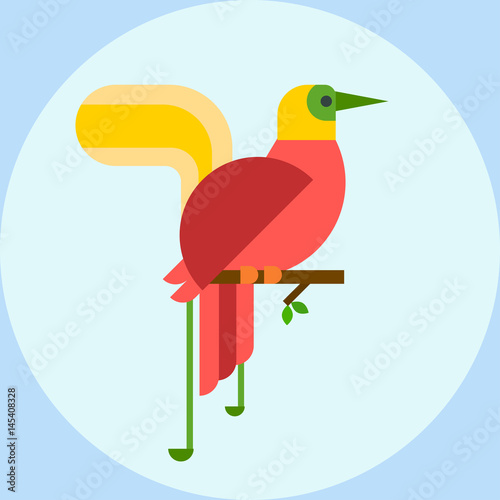 Cartoon tropical peacock wild animal bird vector illustration and wildlife cute feather zoo color nature vivid perch tropics fly fauna jungle pretty tail.